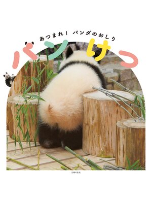 cover image of パンけつ